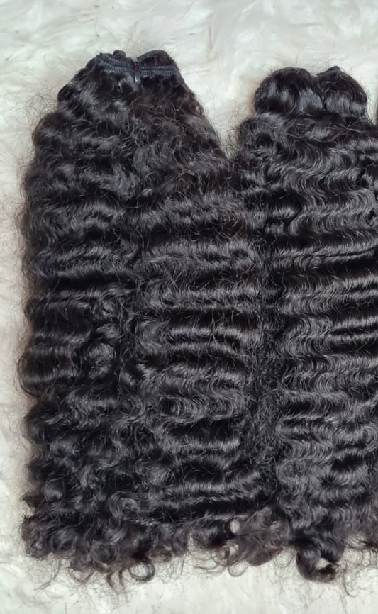 BURMESE CURLY
